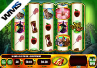 Wizard Of Oz Ruby Slippers Slot Game